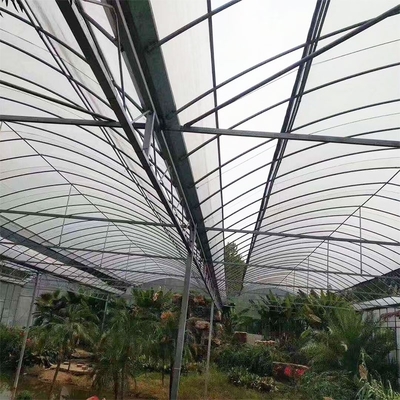广西北海大棚管温室大棚 现代农业的绿色摇篮