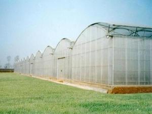 钢管温室大棚 现代农业的坚实支柱