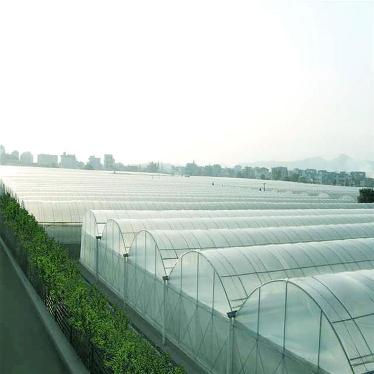 台州温室连栋大棚厂规格齐全，量身定制现代农业新篇章